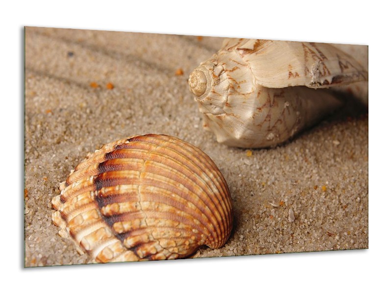 Canvas schilderij Zand | Bruin, Crème | 120x70cm 1Luik