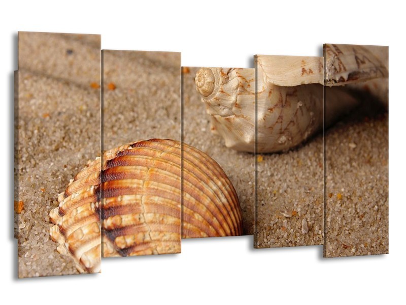 Canvas schilderij Zand | Bruin, Crème | 150x80cm 5Luik