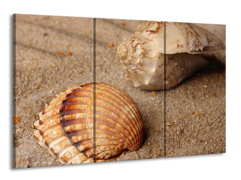 Canvas schilderij Zand | Bruin, Crème | 165x100cm 3Luik