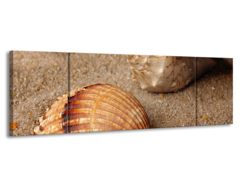 Canvas schilderij Zand | Bruin, Crème | 170x50cm 3Luik