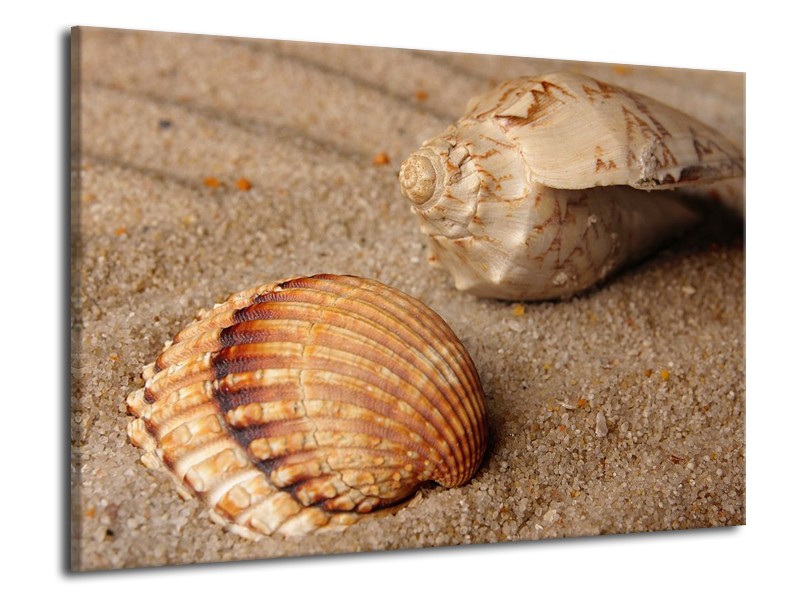 Canvas schilderij Zand | Bruin, Crème | 70x50cm 1Luik