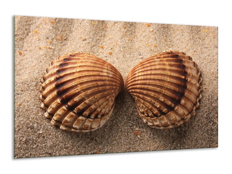 Canvas schilderij Zand | Bruin, Crème | 120x70cm 1Luik