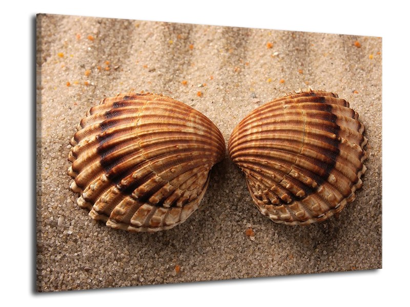 Canvas schilderij Zand | Bruin, Crème | 70x50cm 1Luik