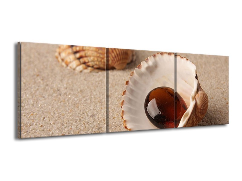Canvas schilderij Zand | Bruin, Crème | 150x50cm 3Luik