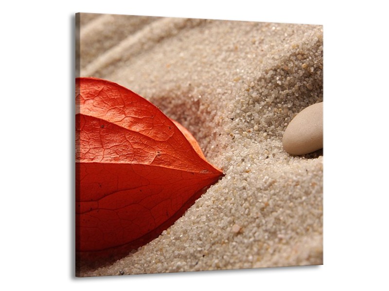 Canvas schilderij Spa | Bruin, Crème, Rood | 50x50cm 1Luik