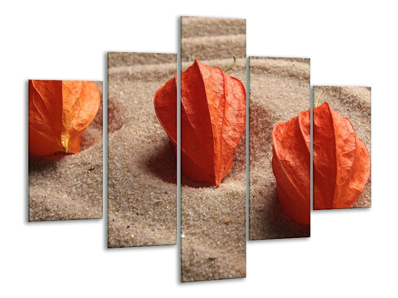 Glas schilderij Spa | Bruin, Crème, Rood | 100x70cm 5Luik