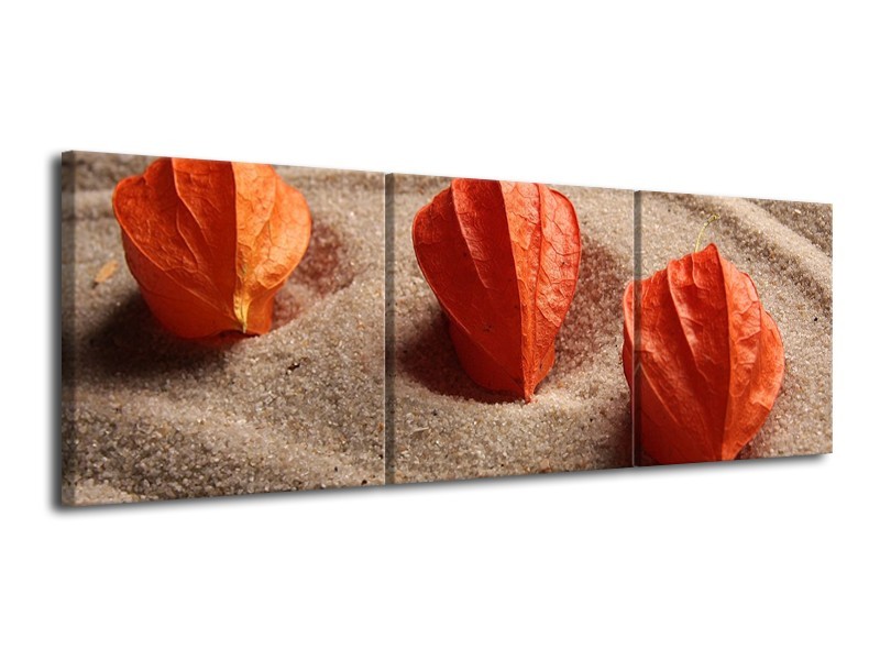Canvas schilderij Spa | Bruin, Crème, Rood | 120x40cm 3Luik