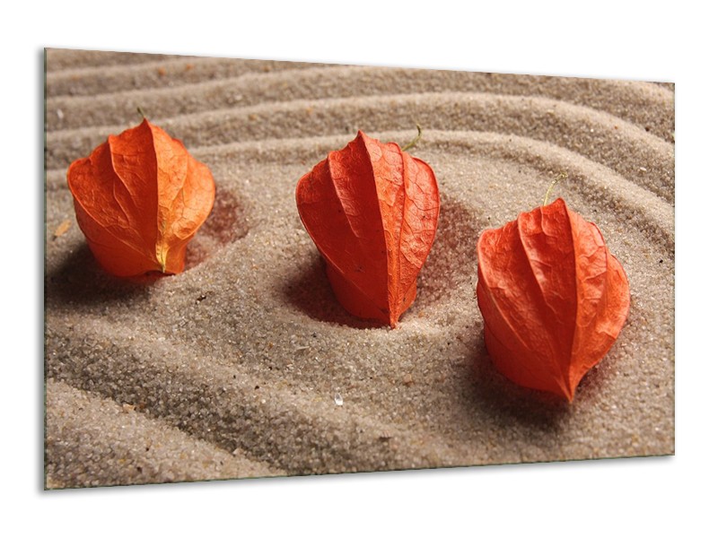 Canvas schilderij Spa | Bruin, Crème, Rood | 120x70cm 1Luik