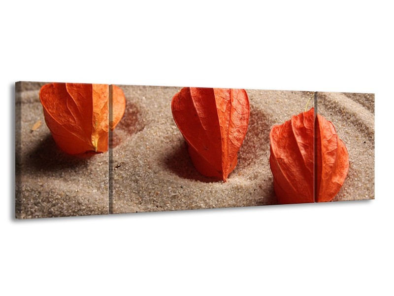 Canvas schilderij Spa | Bruin, Crème, Rood | 170x50cm 3Luik