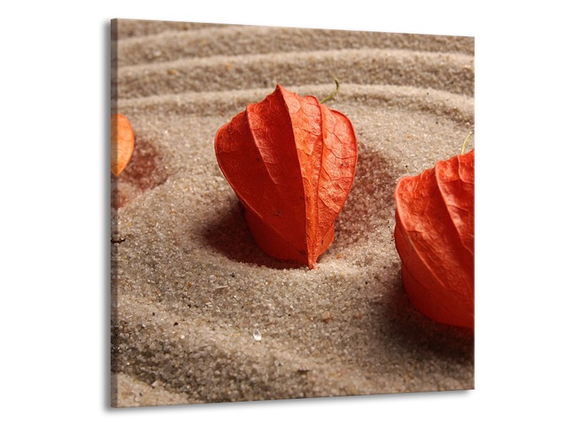 Canvas schilderij Spa | Bruin, Crème, Rood | 50x50cm 1Luik