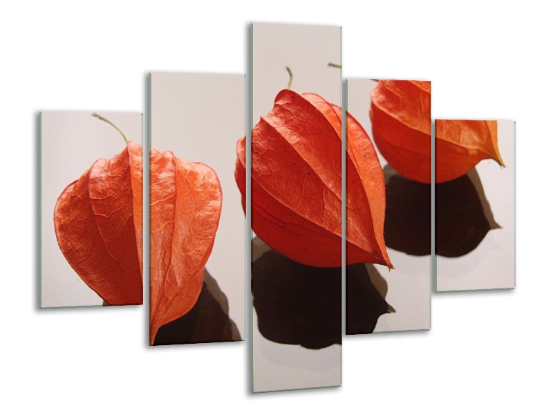 Glas schilderij Spa | Oranje, Grijs, Bruin | 100x70cm 5Luik