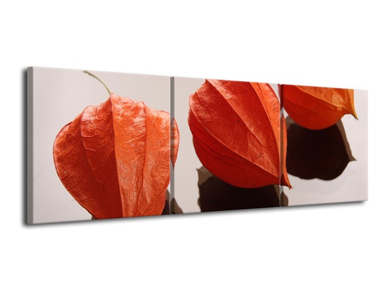 Canvas schilderij Spa | Oranje, Grijs, Bruin | 120x40cm 3Luik