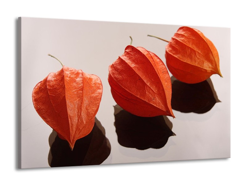 Canvas schilderij Spa | Oranje, Grijs, Bruin | 140x90cm 1Luik