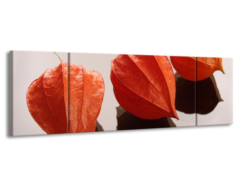 Canvas schilderij Spa | Oranje, Grijs, Bruin | 170x50cm 3Luik