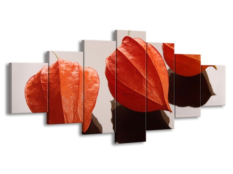 Glas schilderij Spa | Oranje, Grijs, Bruin | 210x100cm 7Luik