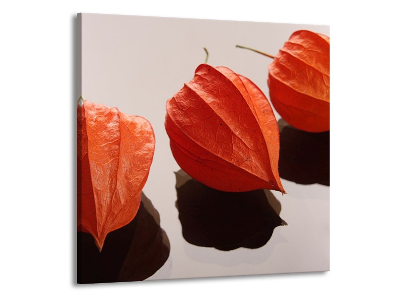 Canvas schilderij Spa | Oranje, Grijs, Bruin | 50x50cm 1Luik