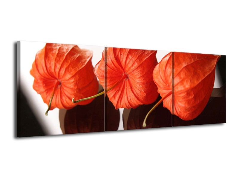 Canvas schilderij Keuken | Oranje, Wit | 120x40cm 3Luik