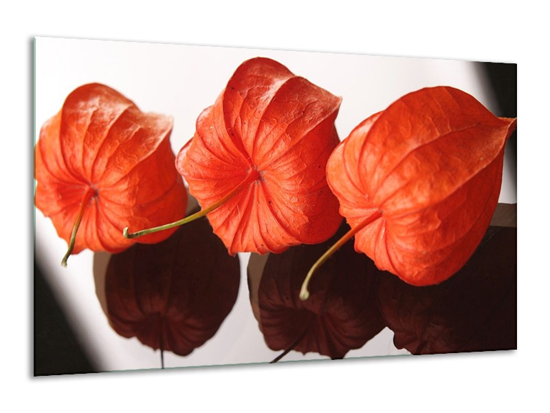 Canvas schilderij Keuken | Oranje, Wit | 120x70cm 1Luik