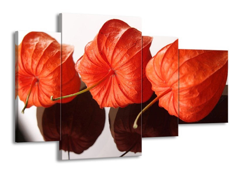Canvas schilderij Keuken | Oranje, Wit | 120x75cm 4Luik