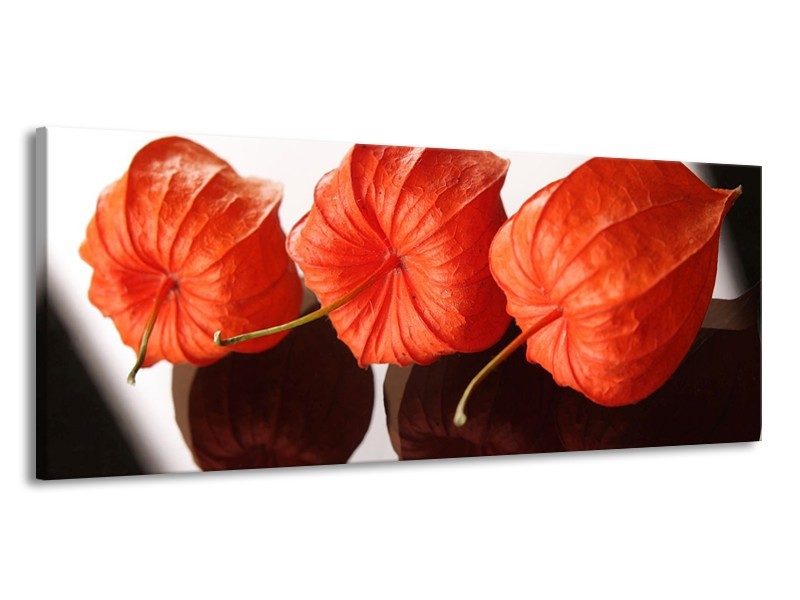 Canvas schilderij Keuken | Oranje, Wit | 145x58cm 1Luik