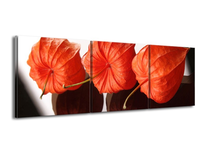 Canvas schilderij Keuken | Oranje, Wit | 150x50cm 3Luik