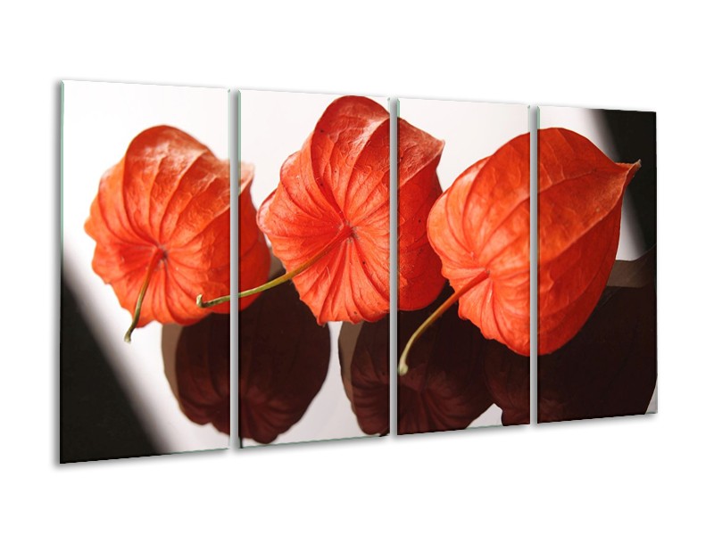 Canvas schilderij Keuken | Oranje, Wit | 160x80cm 4Luik