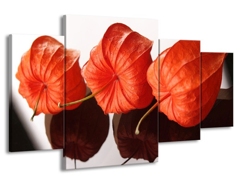 Canvas schilderij Keuken | Oranje, Wit | 160x90cm 4Luik