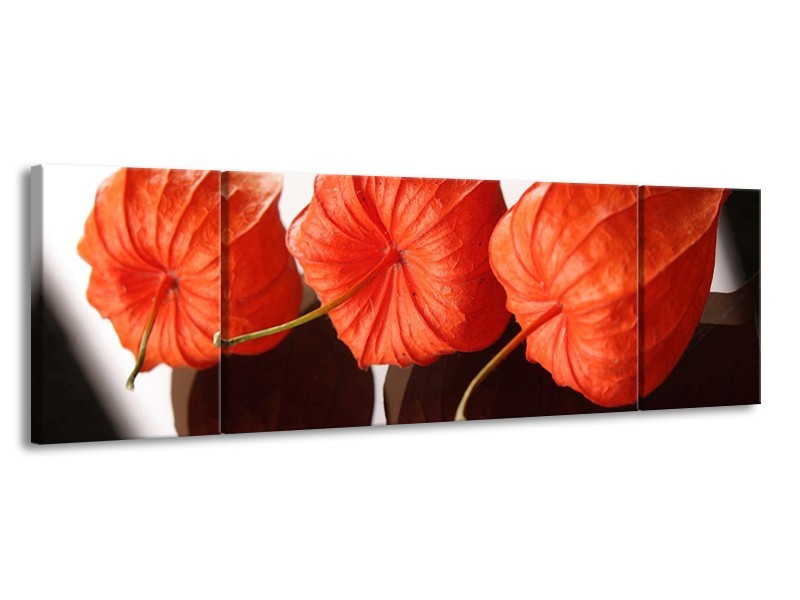 Canvas schilderij Keuken | Oranje, Wit | 170x50cm 3Luik