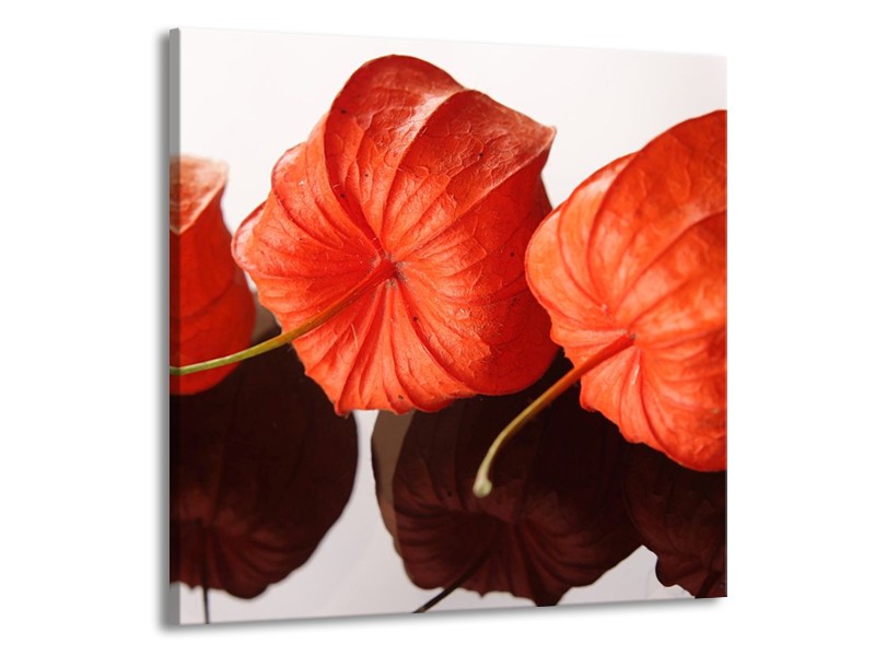 Canvas schilderij Keuken | Oranje, Wit | 70x70cm 1Luik