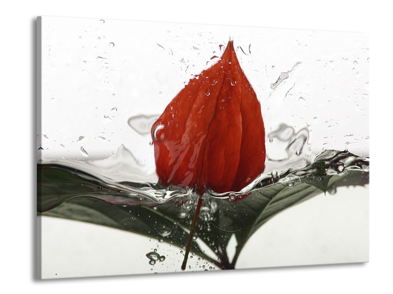 Canvas schilderij Keuken | Rood, Grijs, Wit | 100x70cm 1Luik