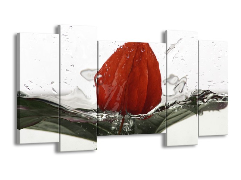 Glas schilderij Keuken | Rood, Grijs, Wit | 120x65cm 5Luik