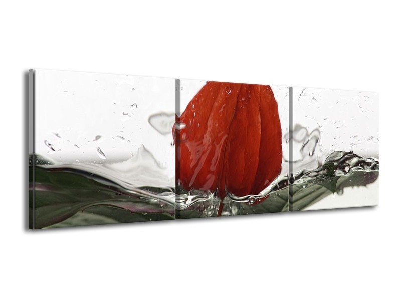 Canvas schilderij Keuken | Rood, Grijs, Wit | 150x50cm 3Luik