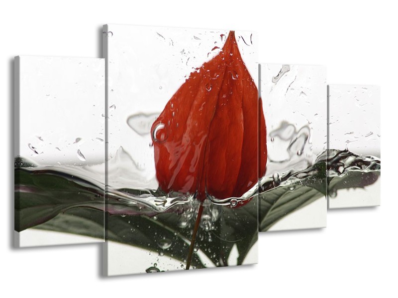Canvas schilderij Keuken | Rood, Grijs, Wit | 160x90cm 4Luik