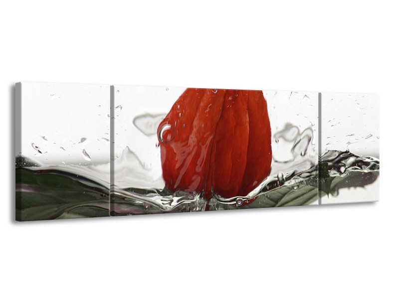 Canvas schilderij Keuken | Rood, Grijs, Wit | 170x50cm 3Luik