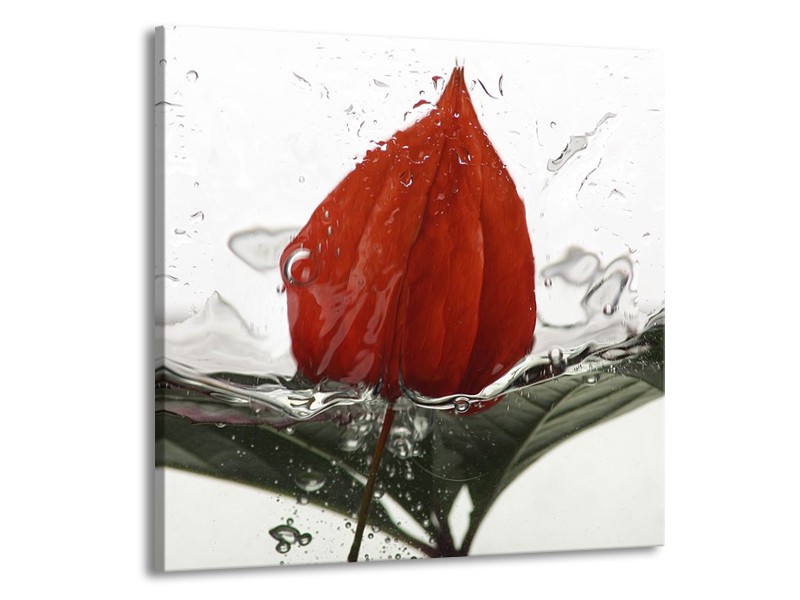 Canvas schilderij Keuken | Rood, Grijs, Wit | 50x50cm 1Luik