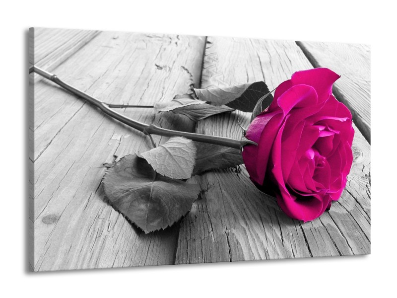 Canvas schilderij Roos | Roze, Grijs | 140x90cm 1Luik