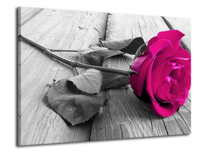 Canvas schilderij Roos | Roze, Grijs | 70x50cm 1Luik