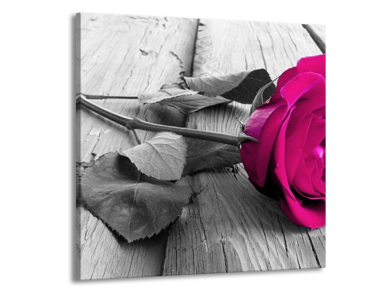 Canvas schilderij Roos | Roze, Grijs | 70x70cm 1Luik