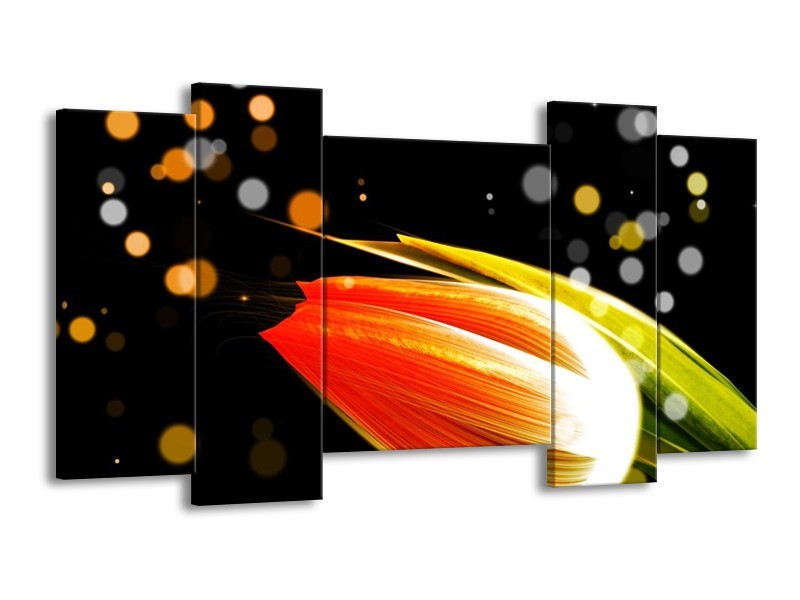 Canvas schilderij Tulp | Oranje, Zwart | 120x65 5Luik