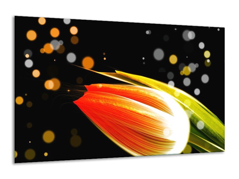 Canvas schilderij Tulp | Oranje, Zwart | 120x70cm 1Luik