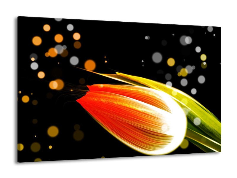 Canvas schilderij Tulp | Oranje, Zwart | 140x90cm 1Luik