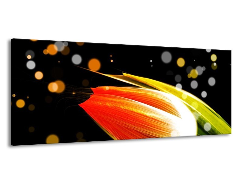Canvas schilderij Tulp | Oranje, Zwart | 145x58cm 1Luik