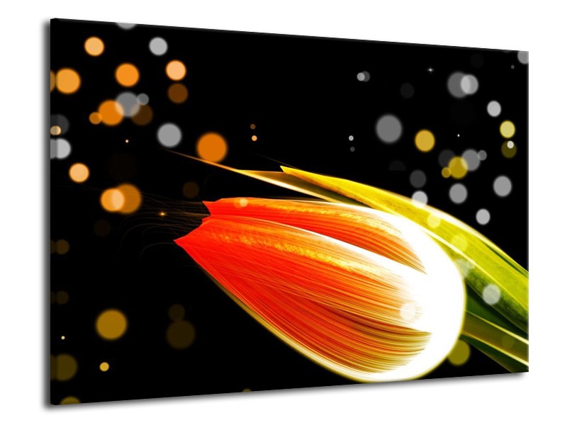 Canvas schilderij Tulp | Oranje, Zwart | 70x50cm 1Luik