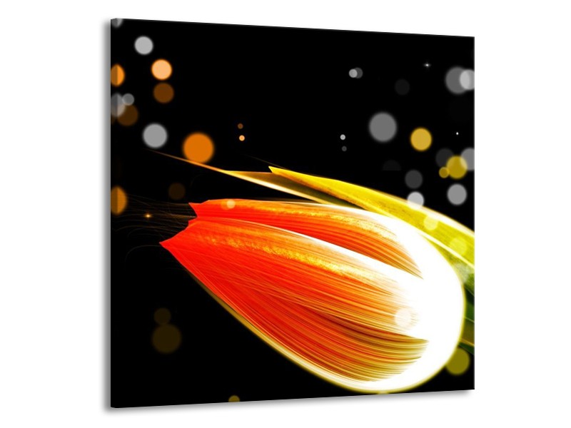 Canvas schilderij Tulp | Oranje, Zwart | 70x70cm 1Luik