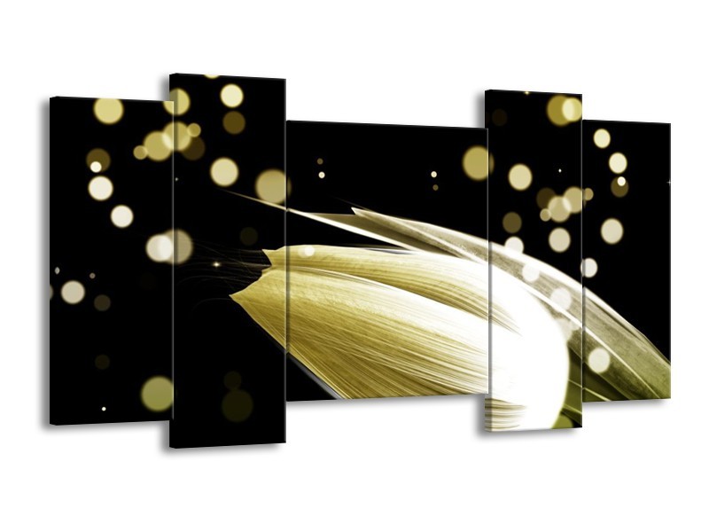 Canvas schilderij Tulp | Crème, Zwart | 120x65 5Luik