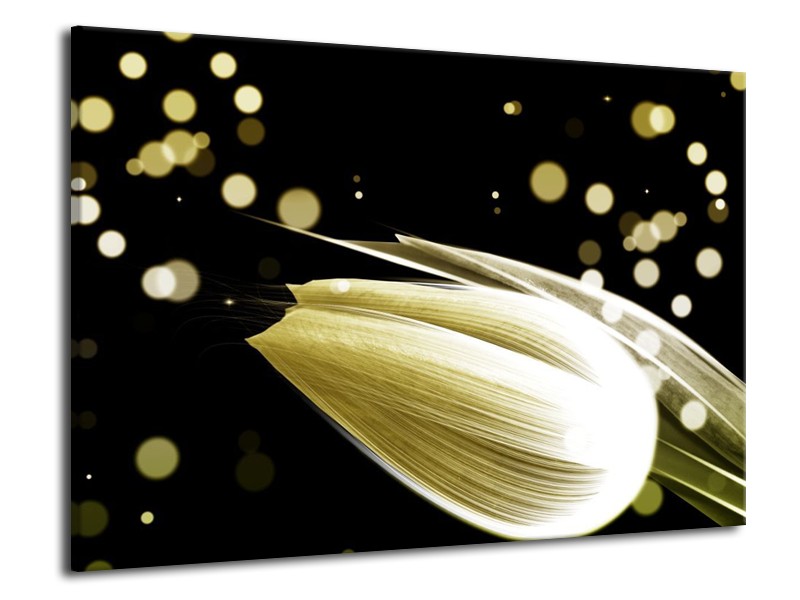 Canvas schilderij Tulp | Crème, Zwart | 70x50cm 1Luik