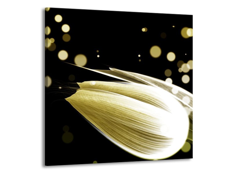 Canvas schilderij Tulp | Crème, Zwart | 70x70cm 1Luik