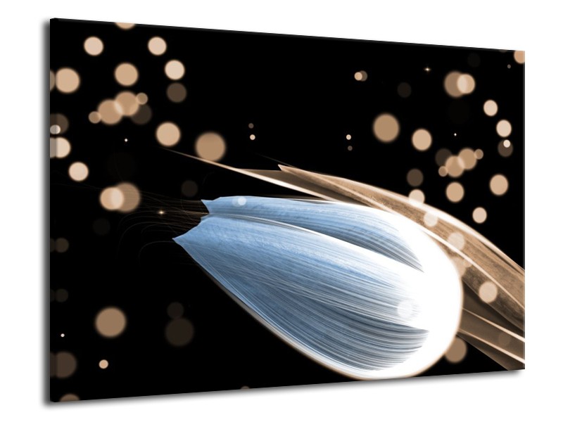 Canvas schilderij Tulp | Blauw, Zwart | 70x50cm 1Luik