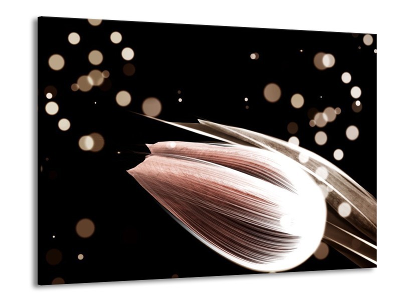 Canvas schilderij Tulp | Bruin, Zwart | 100x70cm 1Luik
