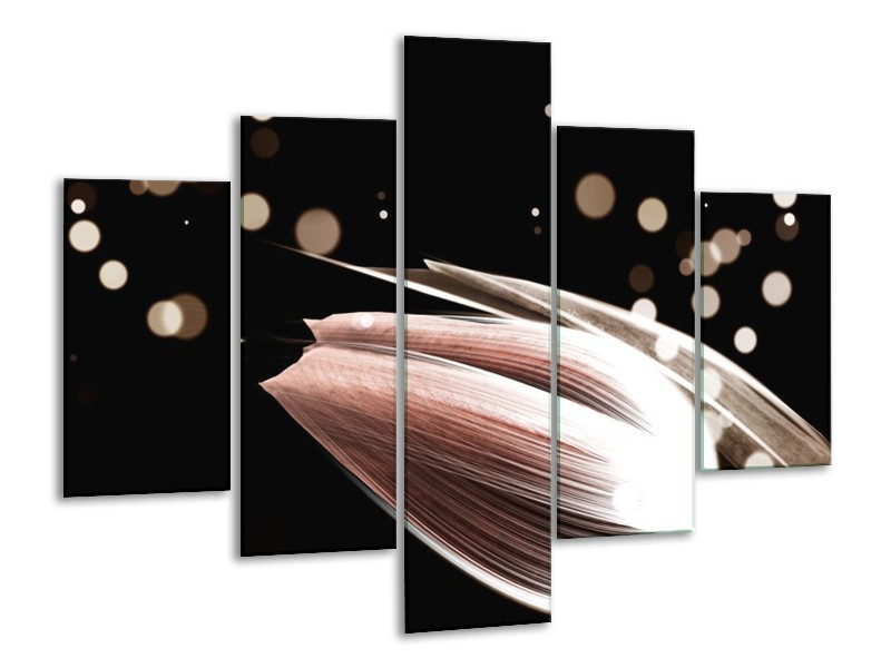 Canvas schilderij Tulp | Bruin, Zwart | 100x70cm 5Luik